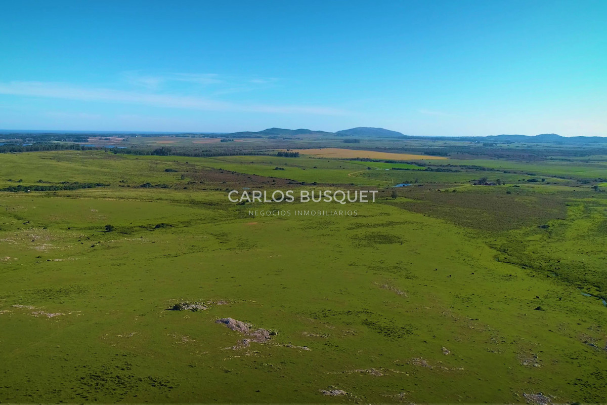 Campo Ref.451 - Campo en venta de 371 has. en Pan de Azúcar 