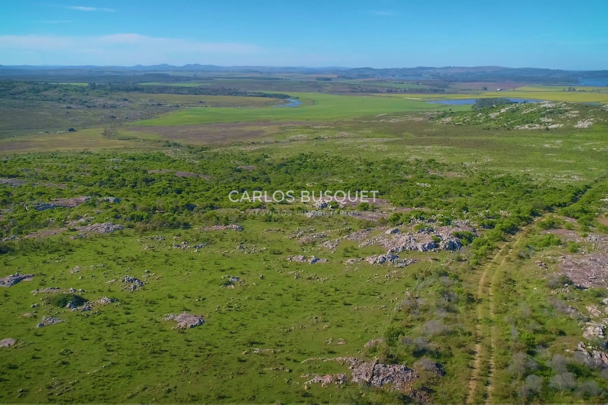 Campo Ref.451 - Campo en venta de 371 has. en Pan de Azúcar 