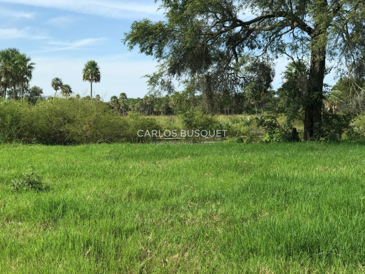 Campo Ref.1702 - Campo de 1.061 has. en venta en Formosa 