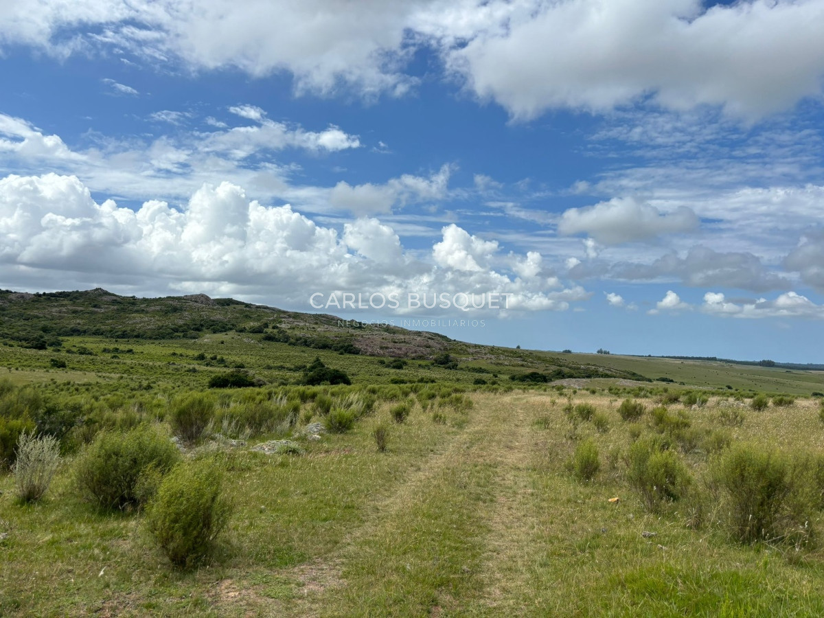 Campo Ref.451 - Campo en venta de 371 has. en Pan de Azúcar 