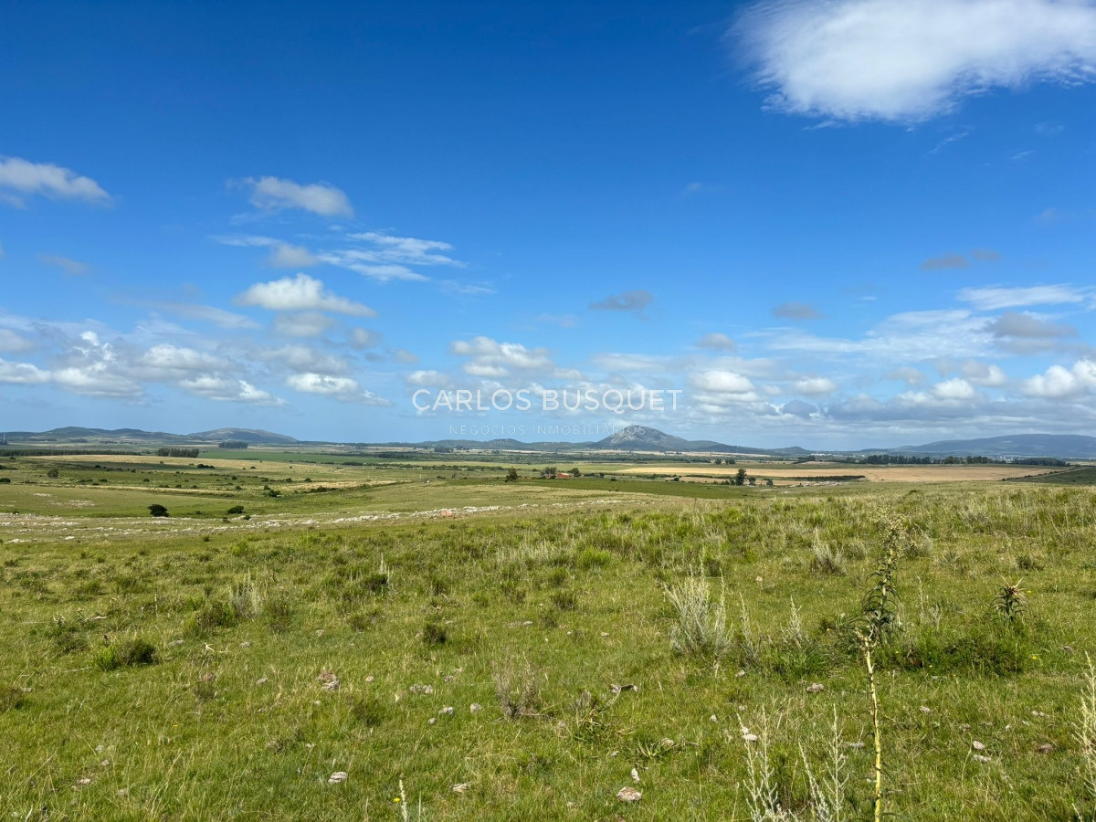 Campo Ref.451 - Campo en venta de 371 has. en Pan de Azúcar 