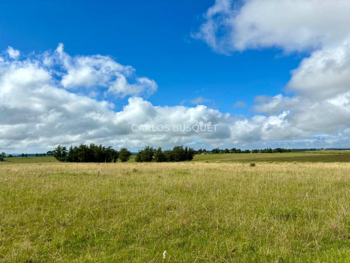 Campo Ref.534 - Campo de 65 has. en venta, en Camino Sainz Martinez, Arco del Sol, Garzon 