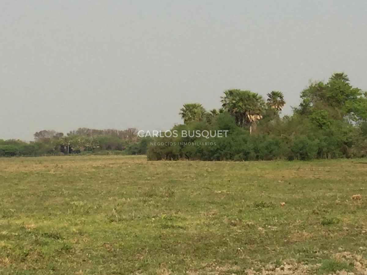 Campo Ref.1700 - Venta Campo ganadero de 1.090 hectáreas en Formosa 