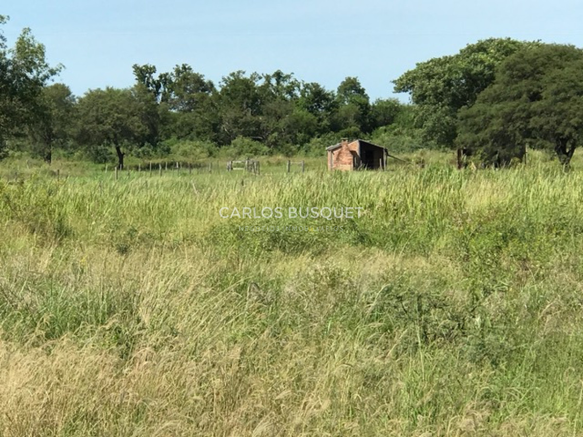 Campo Ref.1702 - Campo de 1.061 has. en venta en Formosa 