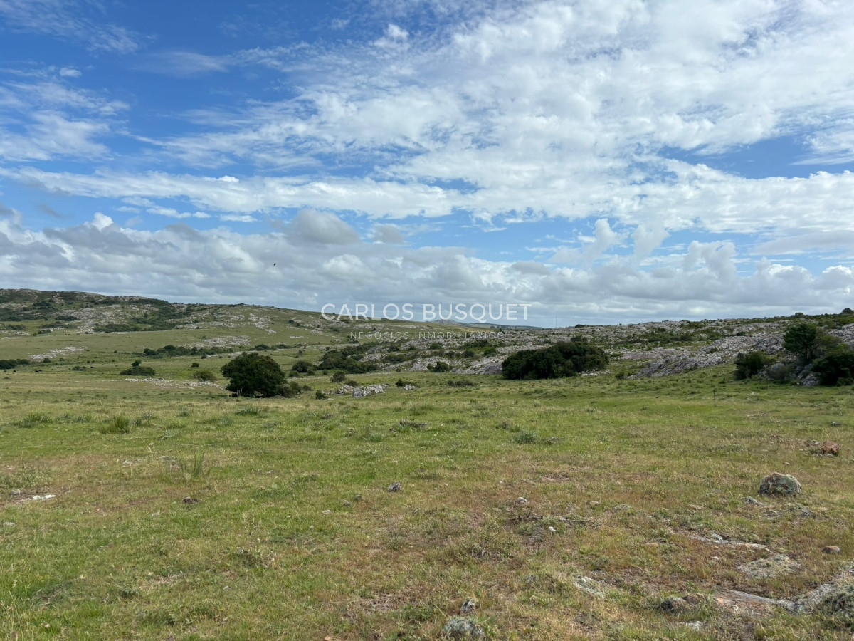 Campo Ref.451 - Campo en venta de 371 has. en Pan de Azúcar 
