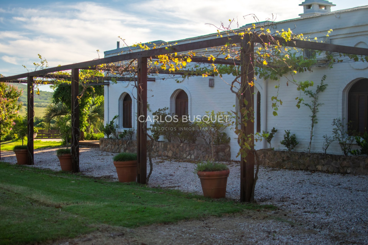 Campo Ref.308 - Campo de 311 has. en venta en zona Pan de Azucar 