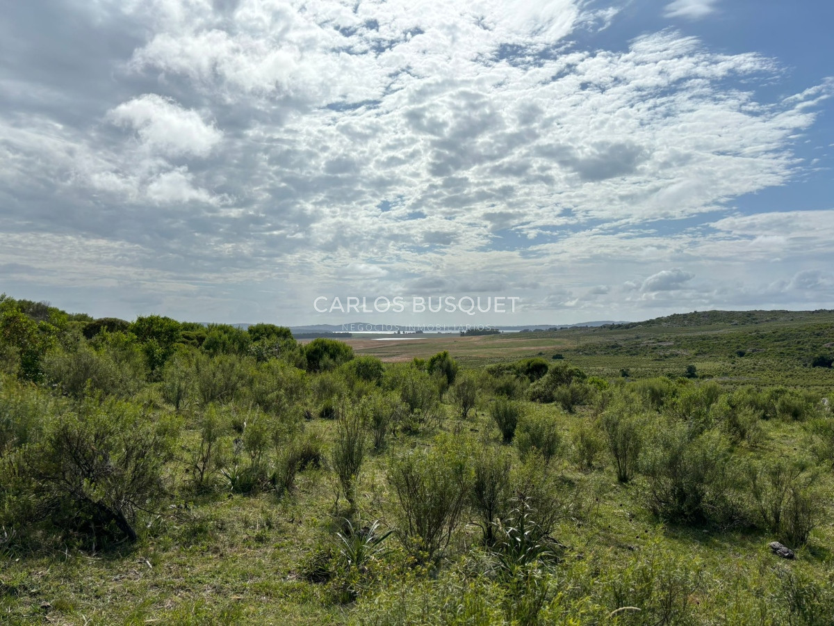 Campo Ref.451 - Campo en venta de 371 has. en Pan de Azúcar 