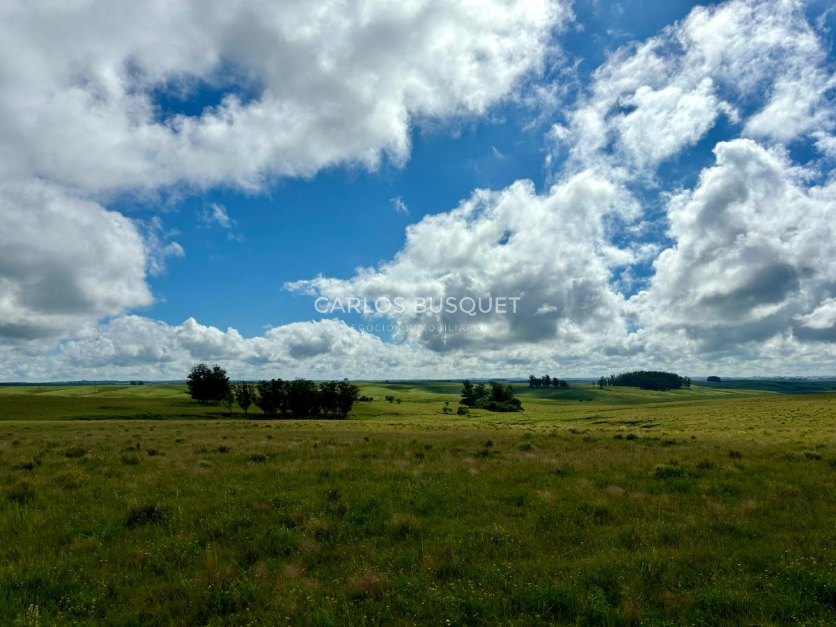 Campo Ref.534 - Campo de 65 has. en venta, en Camino Sainz Martinez, Arco del Sol, Garzon 