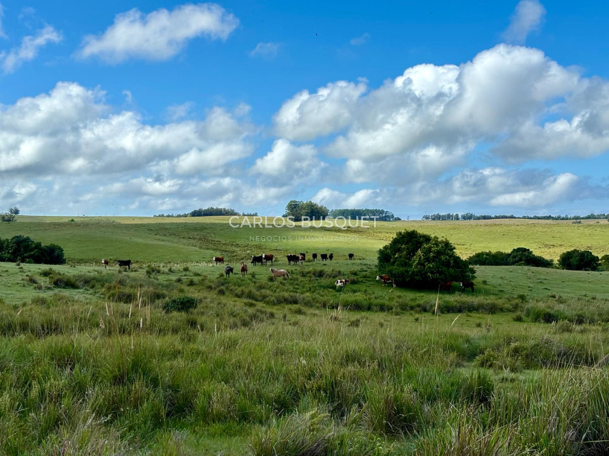 Campo Ref.535 - Campo en venta de 40 has. en Camino Sainz Martinez, Grazon 