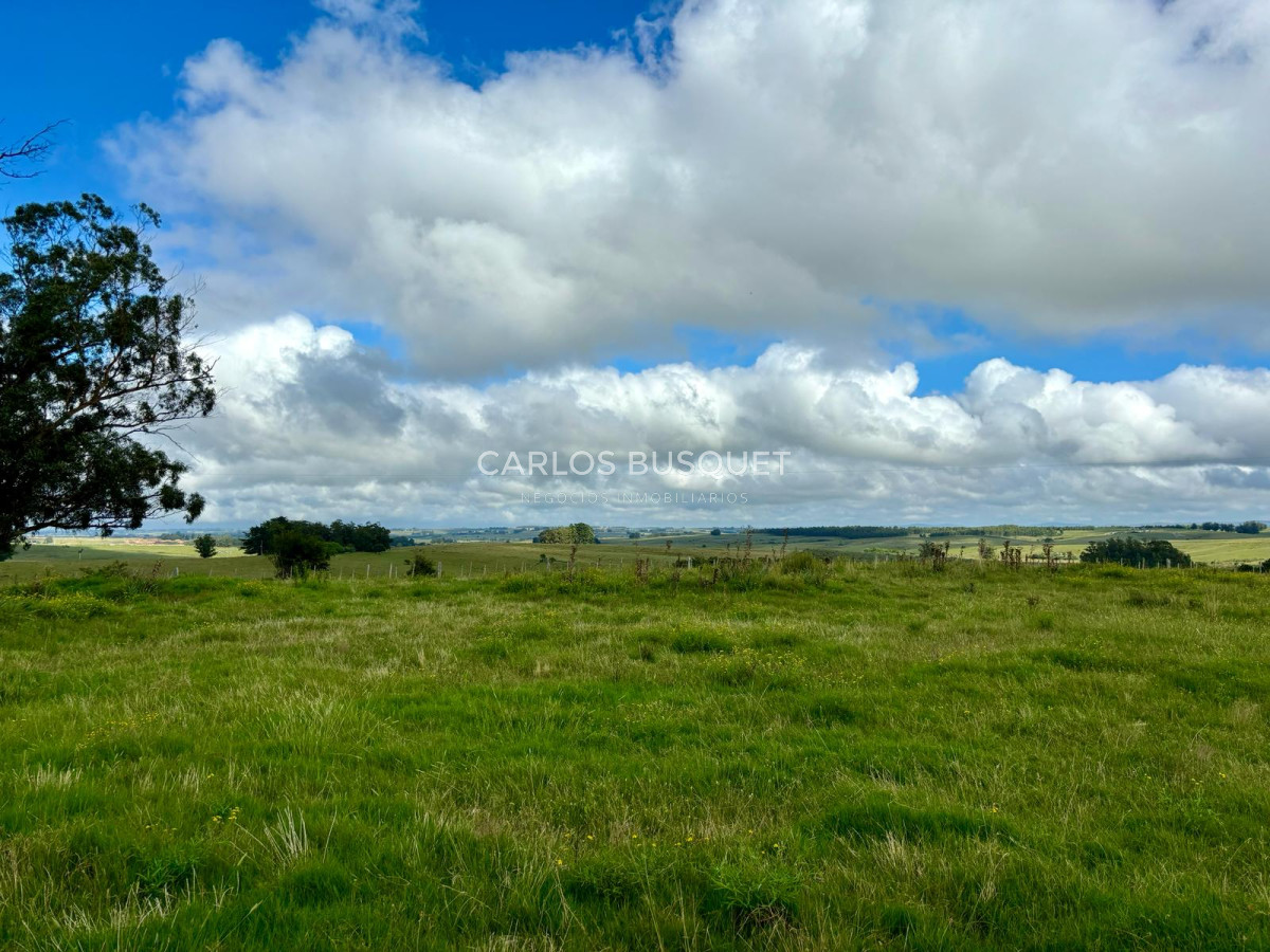 Campo Ref.534 - Campo de 65 has. en venta, en Camino Sainz Martinez, Arco del Sol, Garzon 