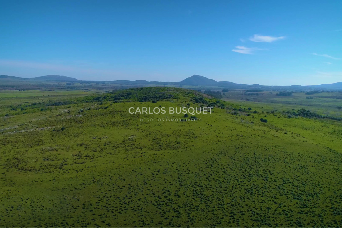 Campo Ref.451 - Campo en venta de 371 has. en Pan de Azúcar 