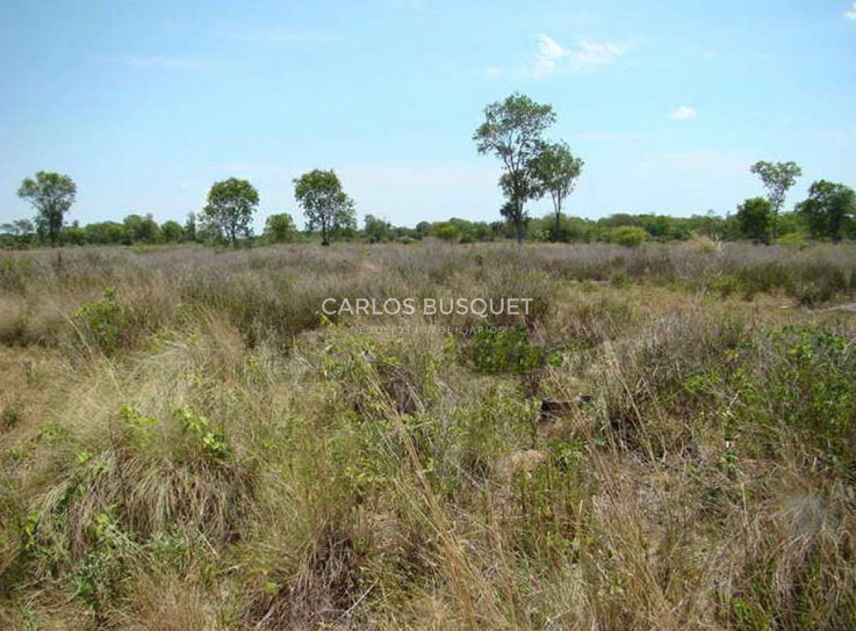 Campo Ref.1702 - Campo de 1.061 has. en venta en Formosa 