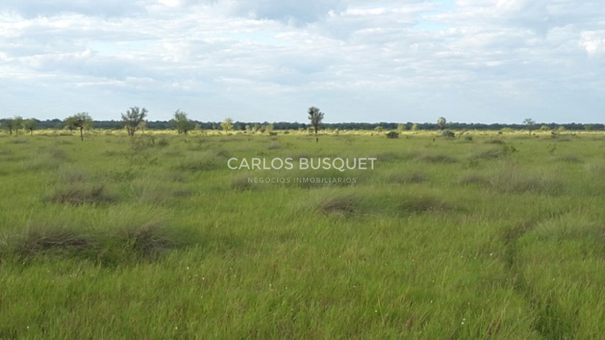 Campo Ref.1700 - Venta Campo ganadero de 1.090 hectáreas en Formosa 