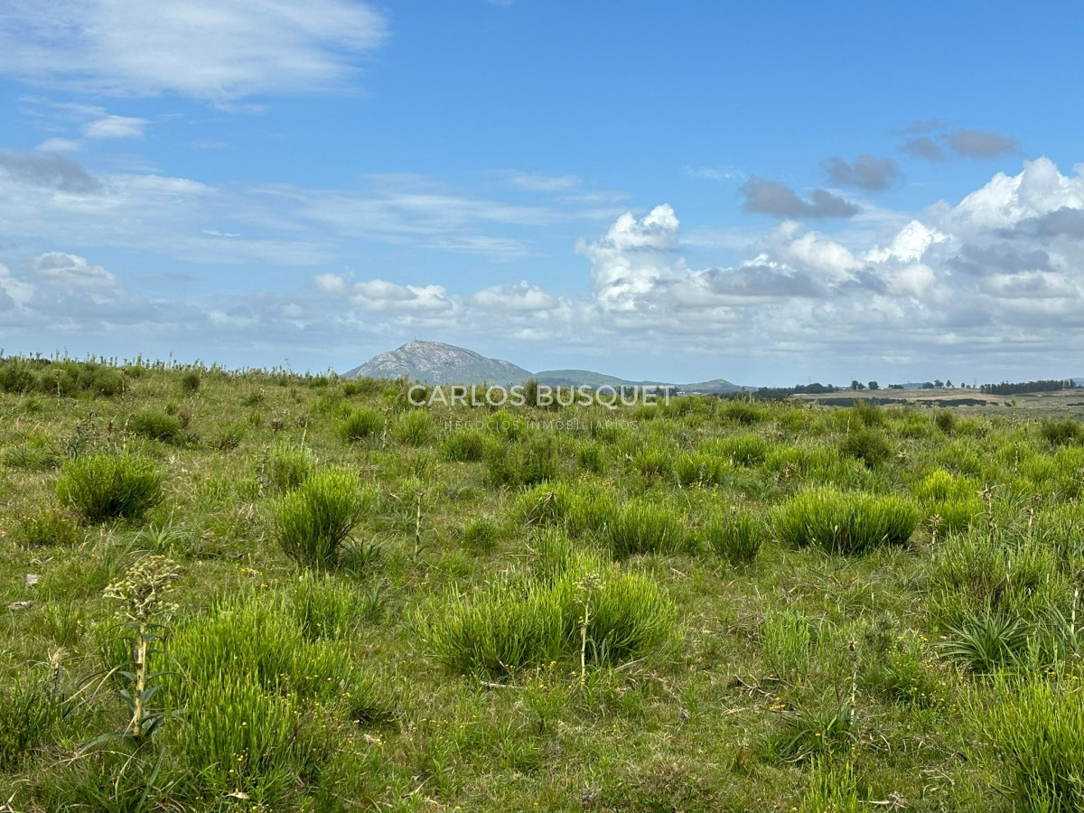 Campo Ref.451 - Campo en venta de 371 has. en Pan de Azúcar 