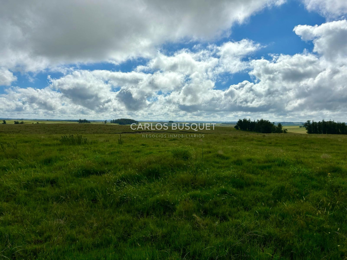 Campo Ref.534 - Campo de 65 has. en venta, en Camino Sainz Martinez, Arco del Sol, Garzon 