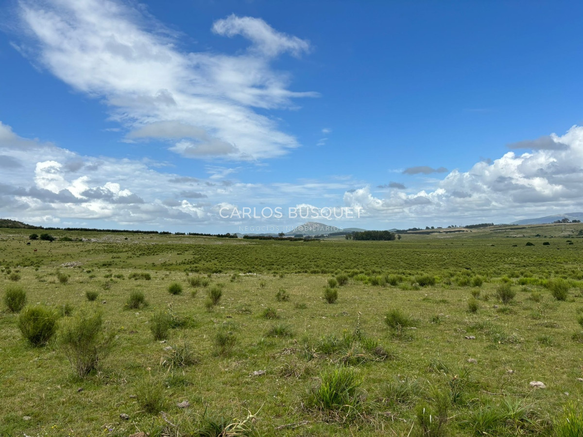 Campo Ref.451 - Campo en venta de 371 has. en Pan de Azúcar 