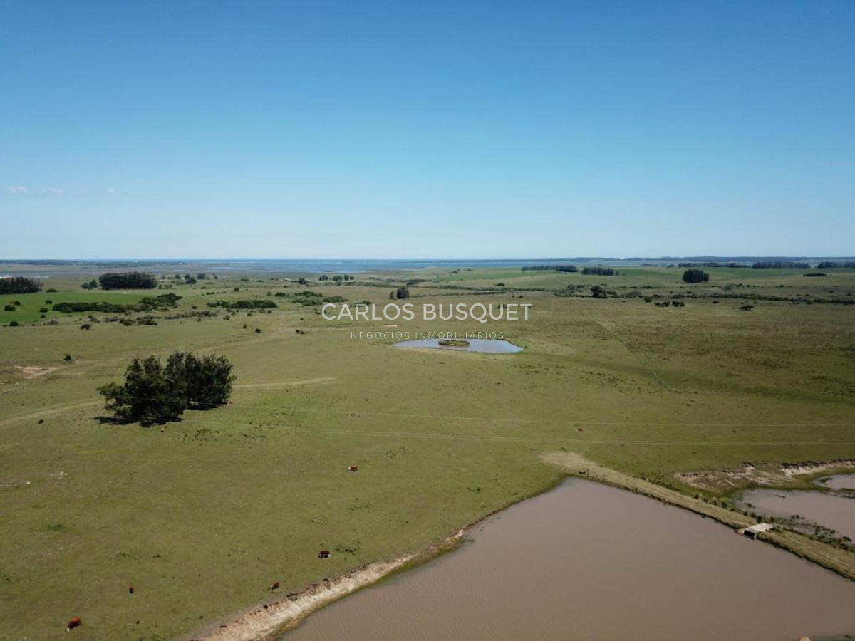 Chacra de 30 has. en venta en José Ignacio - Ruta 9  - CBI1726P