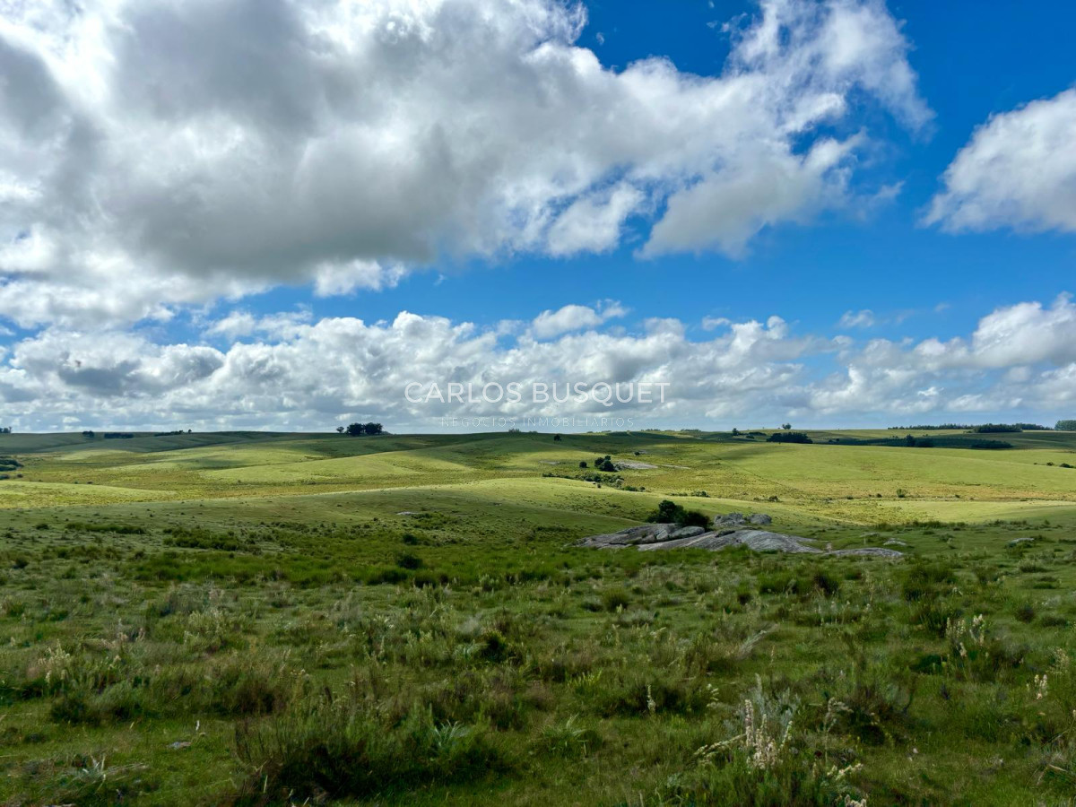 Campo Ref.535 - Campo en venta de 40 has. en Camino Sainz Martinez, Grazon 
