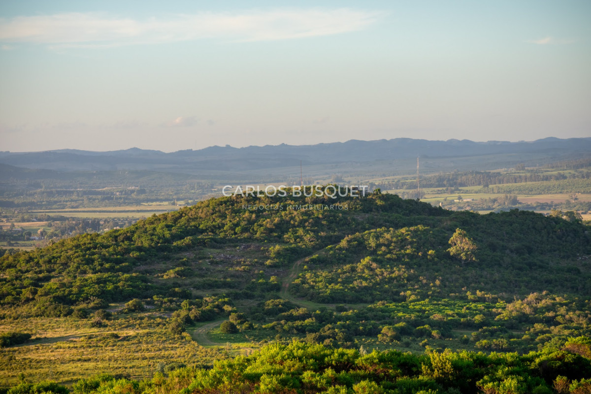Campo Ref.308 - Campo de 311 has. en venta en zona Pan de Azucar 