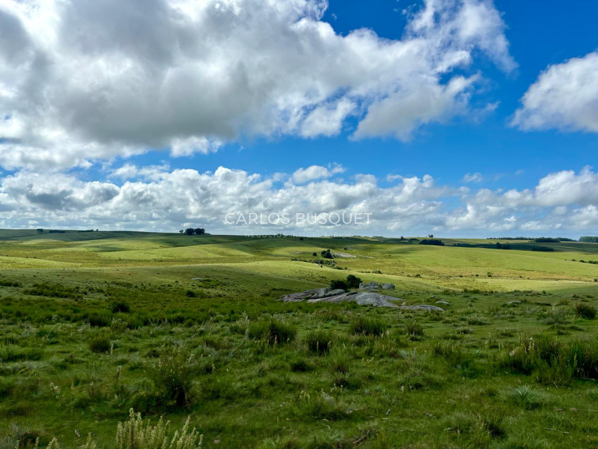 Campo Ref.535 - Campo en venta de 40 has. en Camino Sainz Martinez, Grazon 