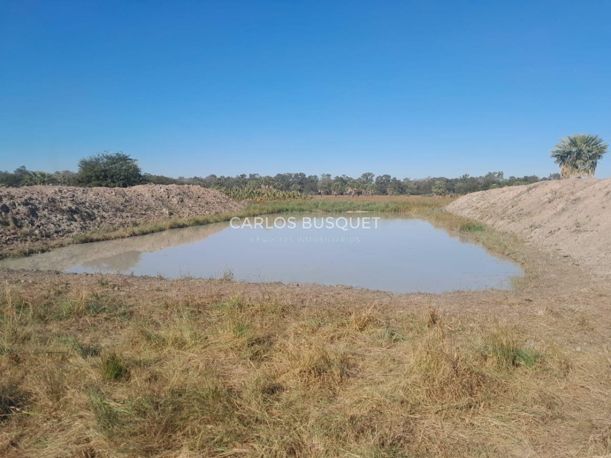 Campo Ref.1701 - Campo ganadero de 1.055 hectáreas en venta en Formosa 