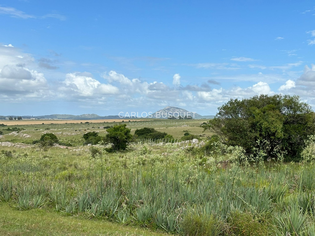 Campo Ref.451 - Campo en venta de 371 has. en Pan de Azúcar 