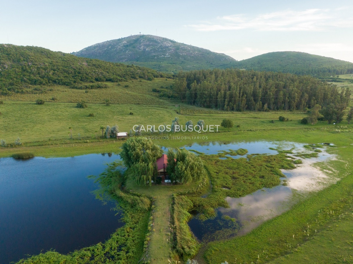 Campo Ref.308 - Campo de 311 has. en venta en zona Pan de Azucar 