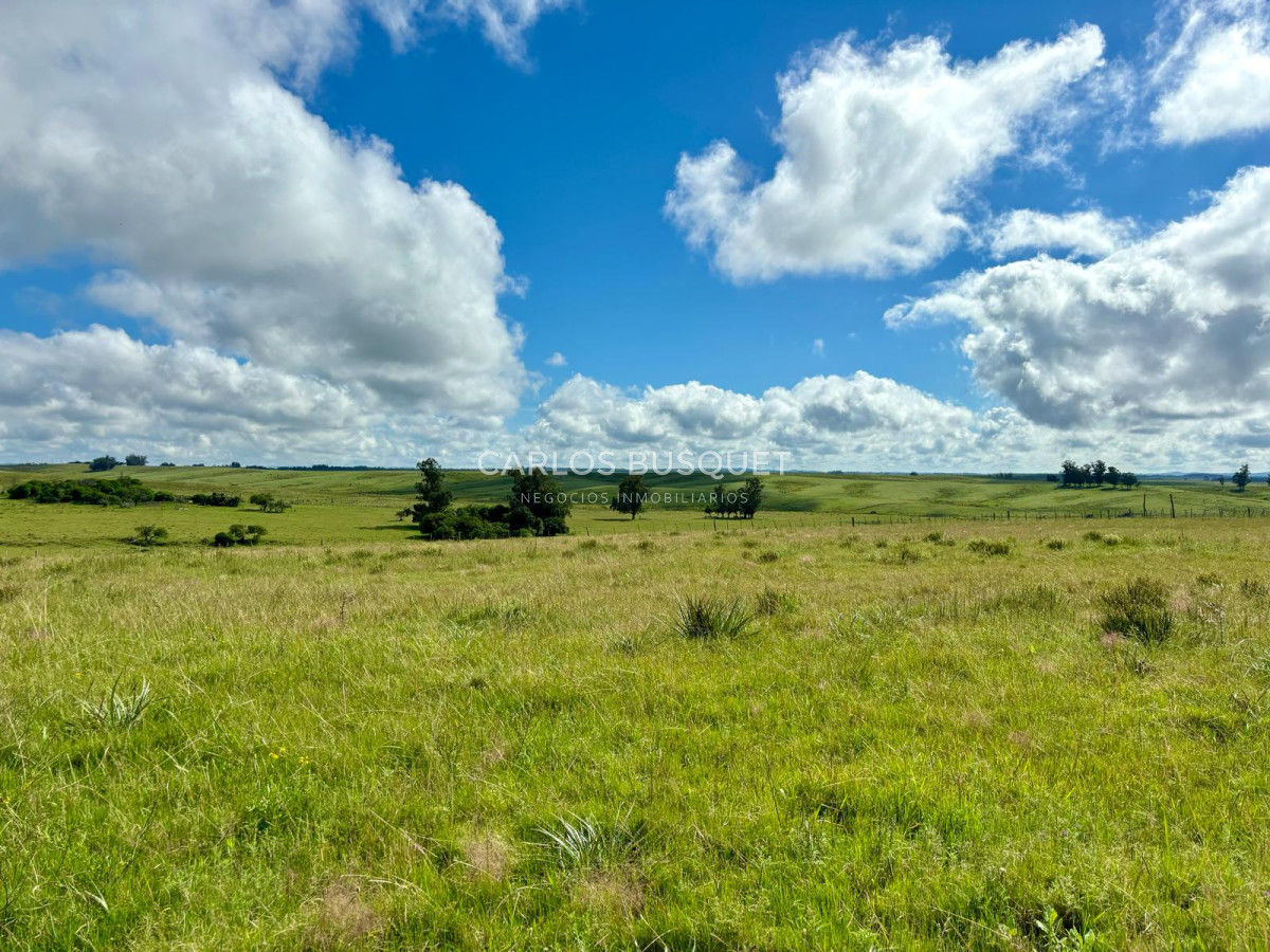Campo Ref.534 - Campo de 65 has. en venta, en Camino Sainz Martinez, Arco del Sol, Garzon 