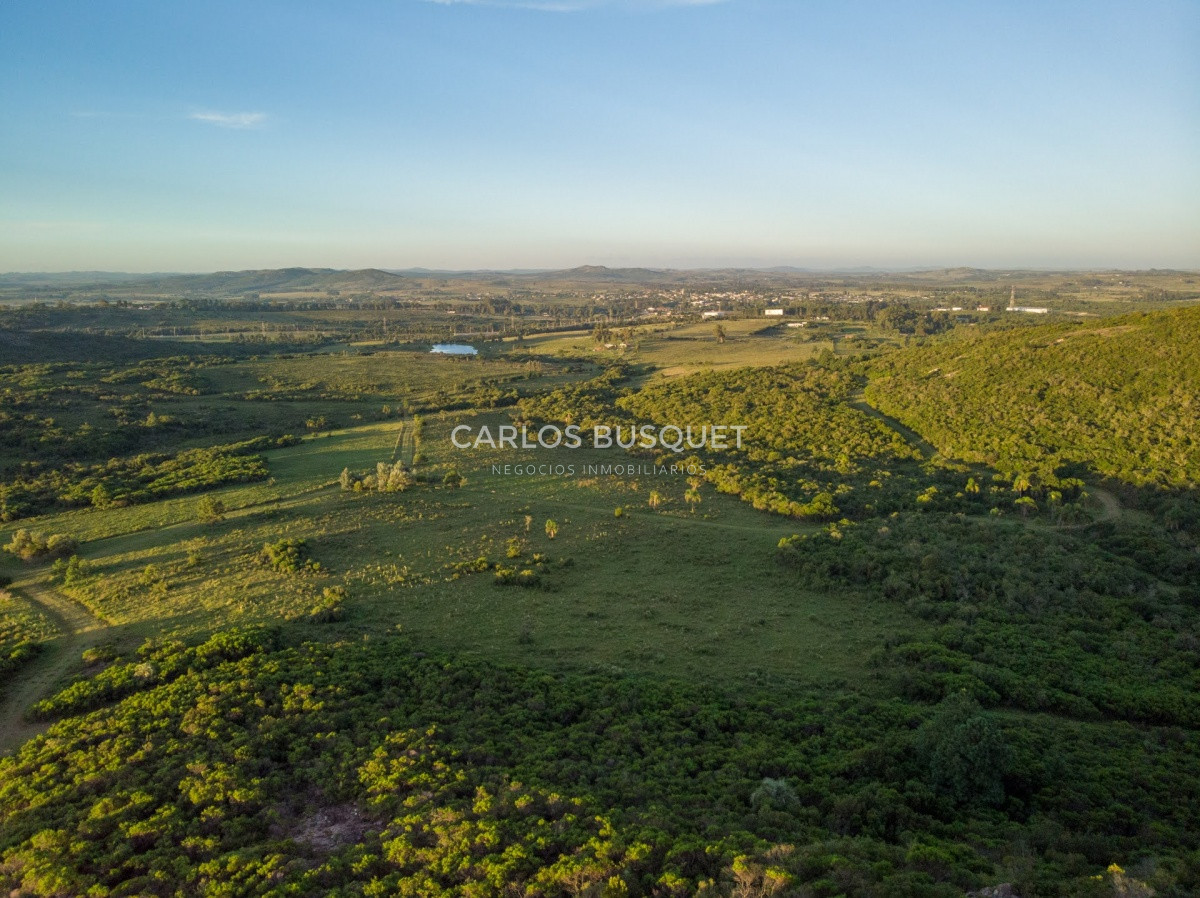 Campo Ref.308 - Campo de 311 has. en venta en zona Pan de Azucar 