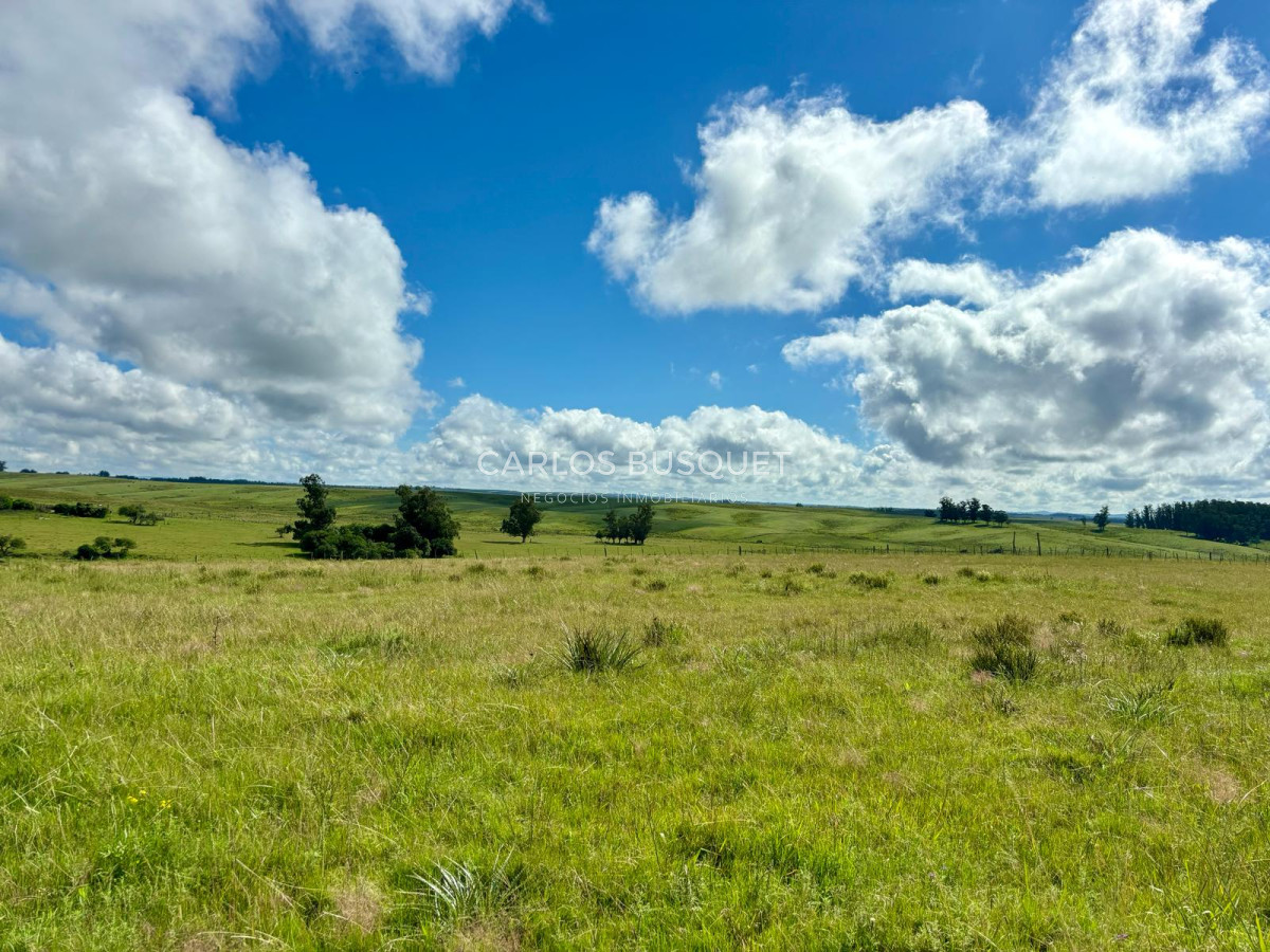 Campo Ref.534 - Campo de 65 has. en venta, en Camino Sainz Martinez, Arco del Sol, Garzon 