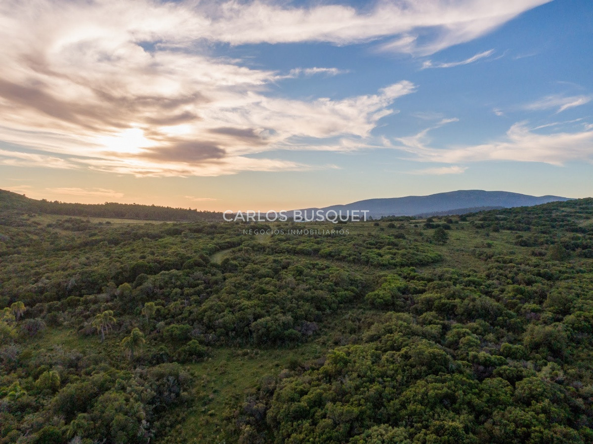 Campo Ref.308 - Campo de 311 has. en venta en zona Pan de Azucar 