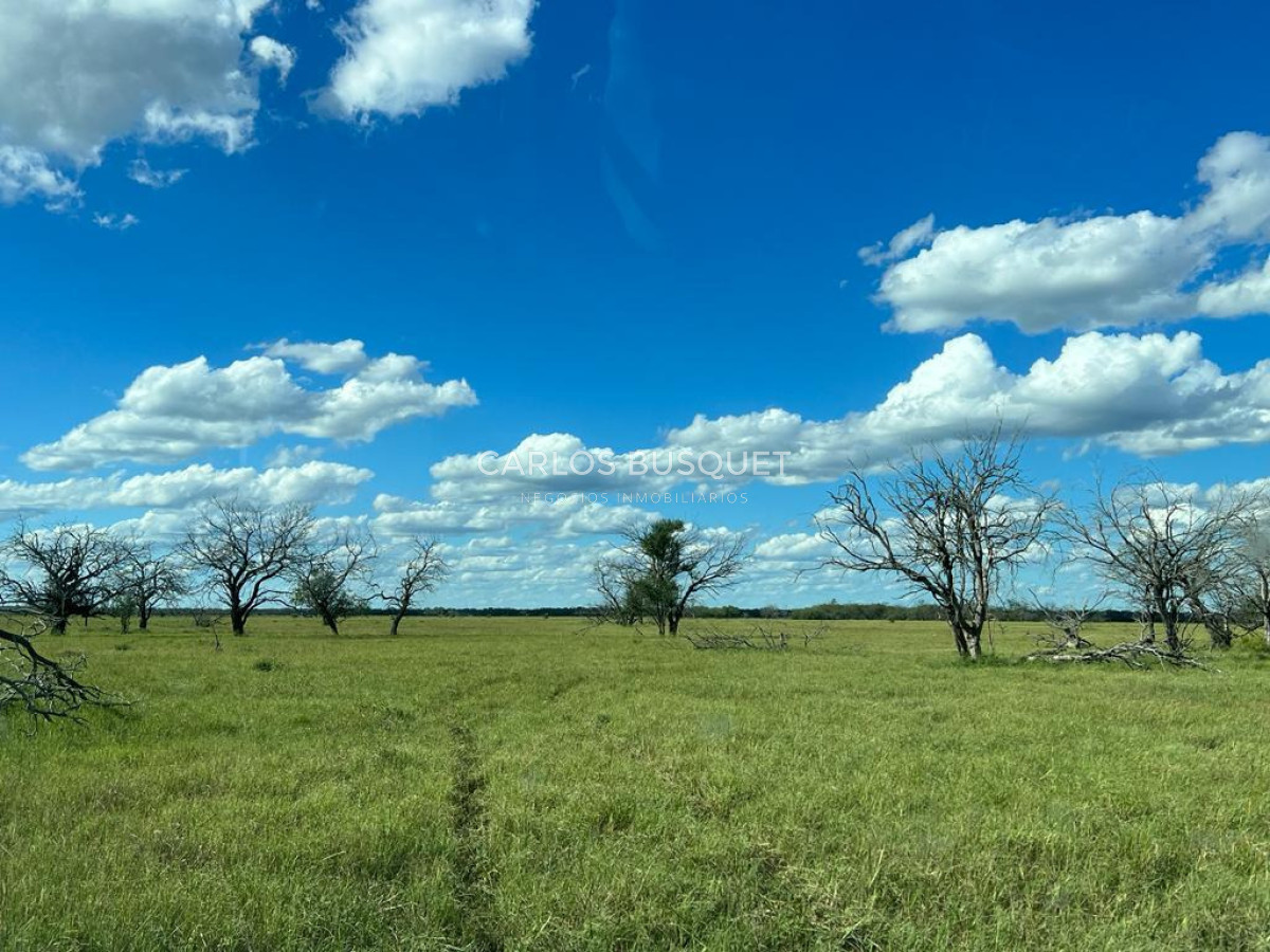 Campo Ref.1701 - Campo ganadero de 1.055 hectáreas en venta en Formosa 