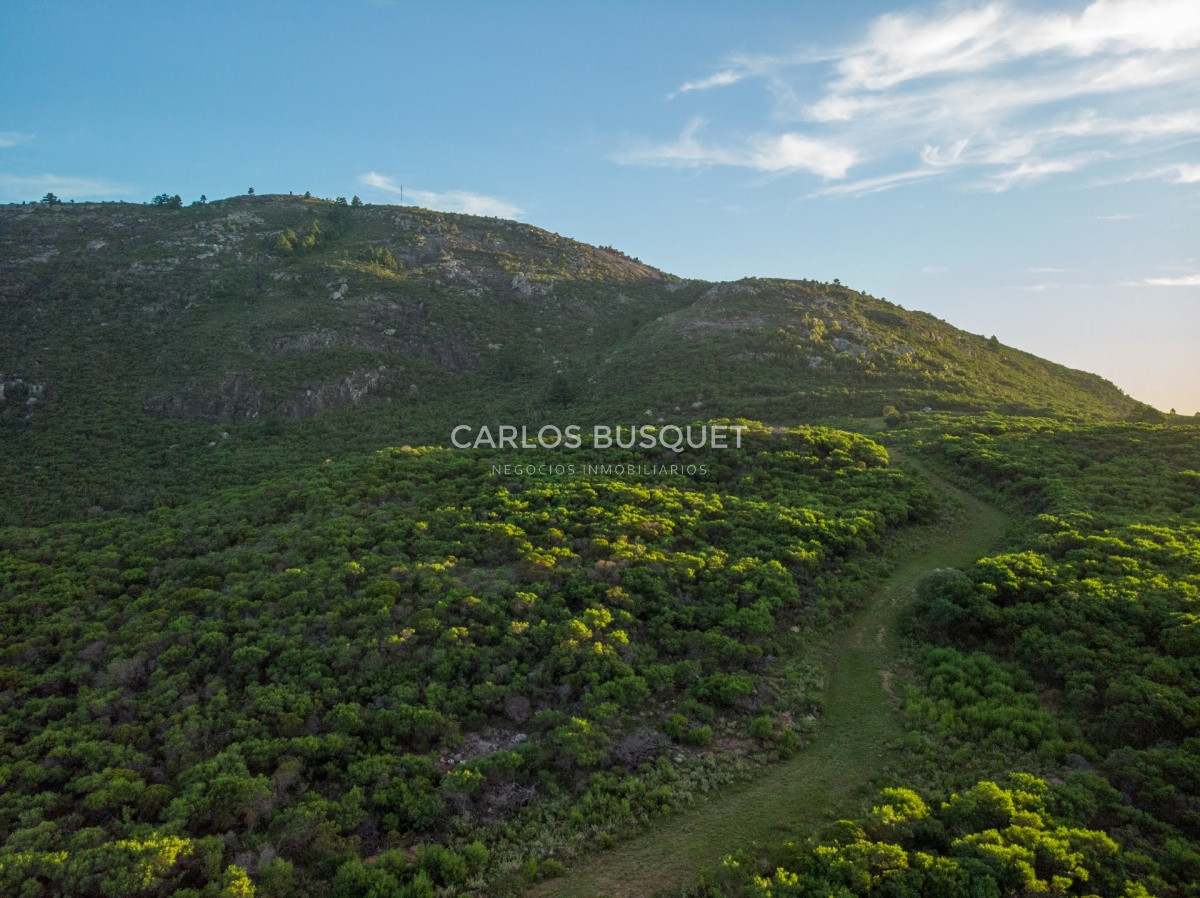 Campo Ref.308 - Campo de 311 has. en venta en zona Pan de Azucar 