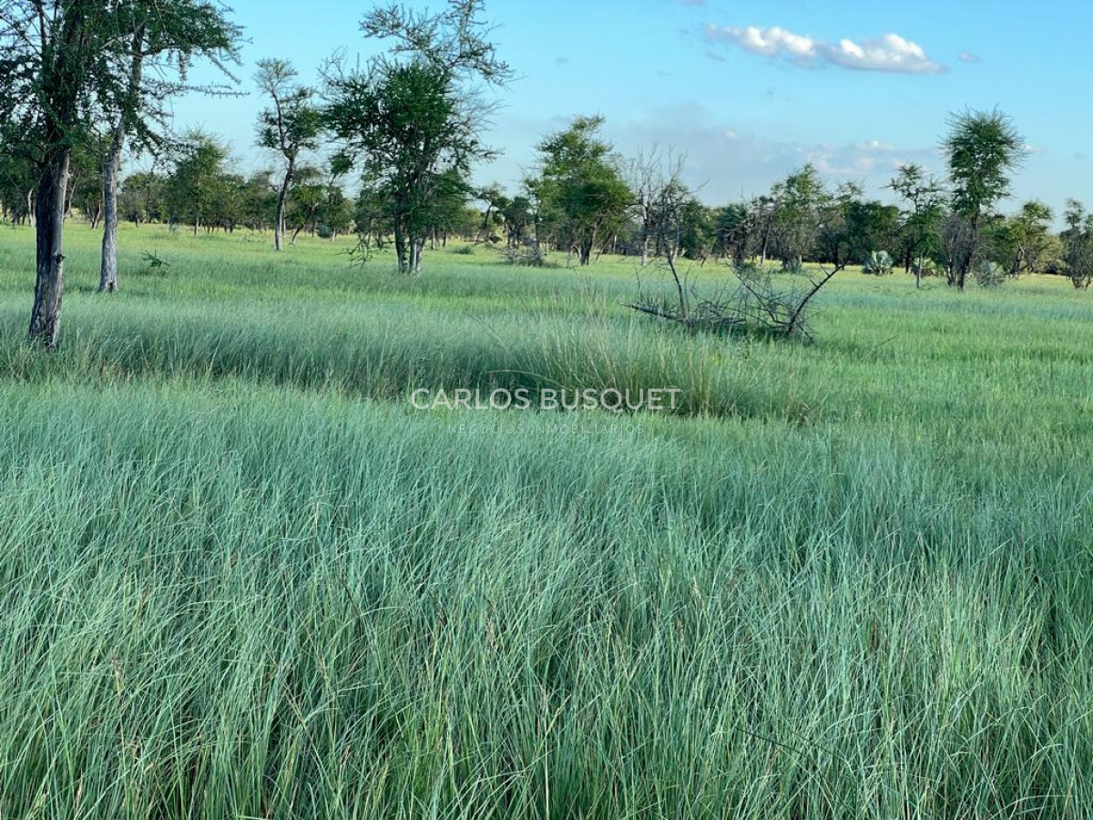 Campo Ref.1702 - Campo de 1.061 has. en venta en Formosa 