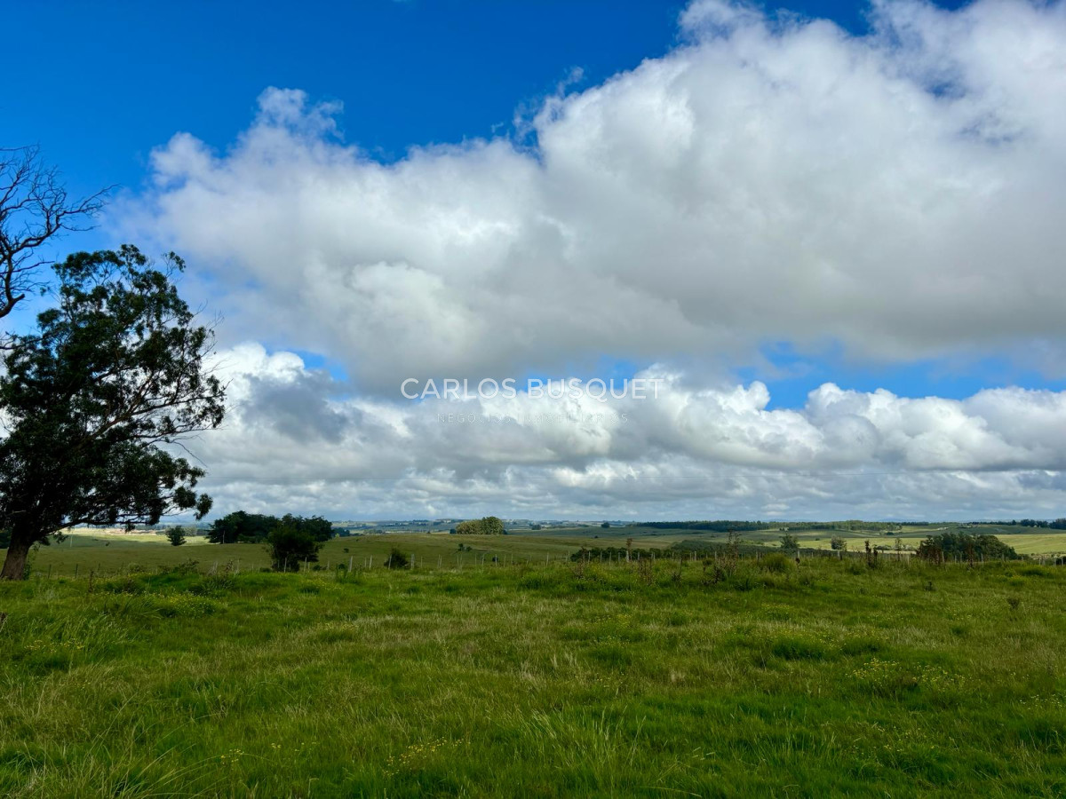 Campo Ref.534 - Campo de 65 has. en venta, en Camino Sainz Martinez, Arco del Sol, Garzon 