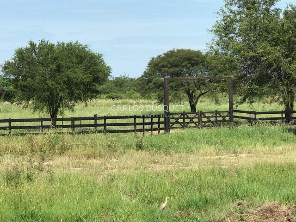 Campo Ref.1702 - Campo de 1.061 has. en venta en Formosa 