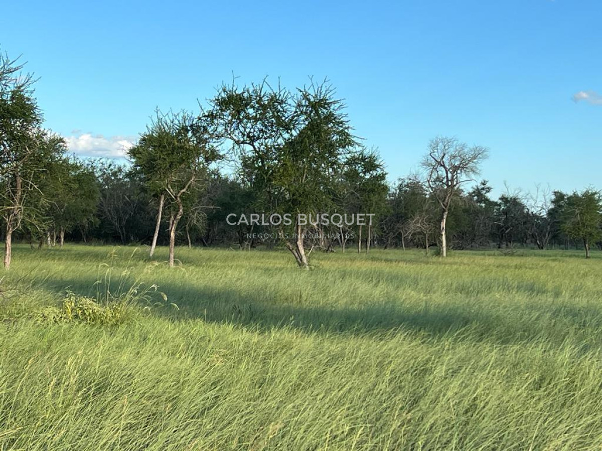 Campo Ref.1702 - Campo de 1.061 has. en venta en Formosa 