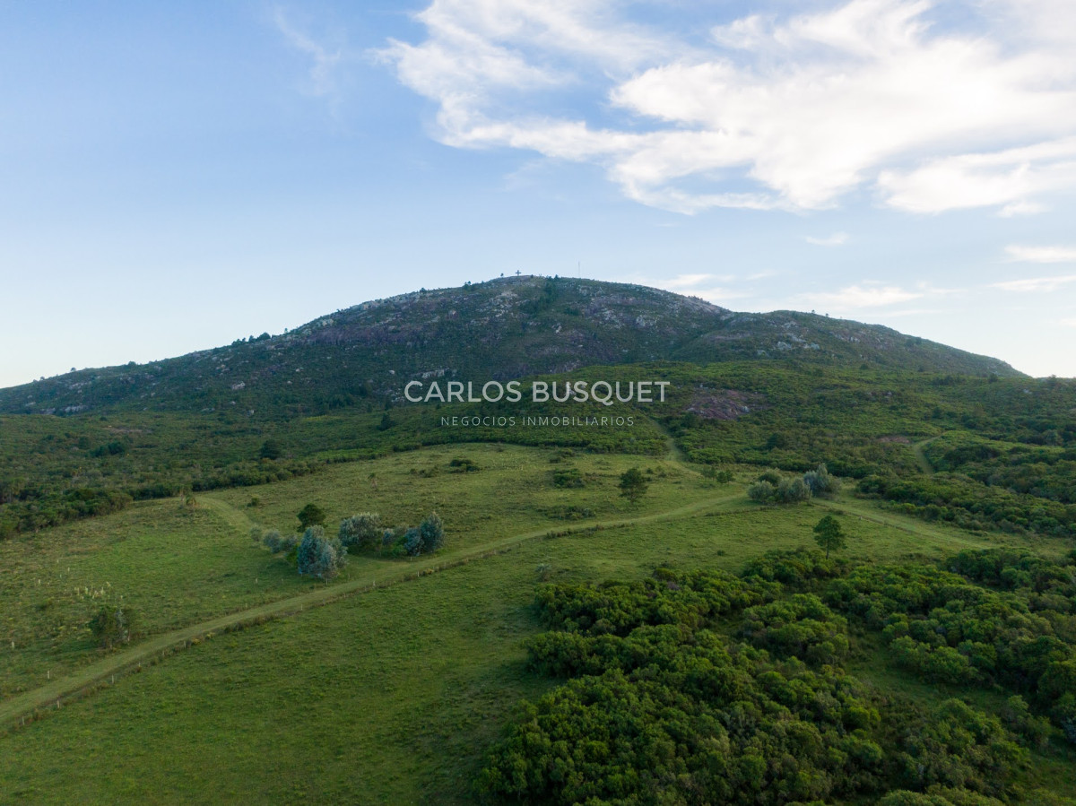 Campo Ref.308 - Campo de 311 has. en venta en zona Pan de Azucar 