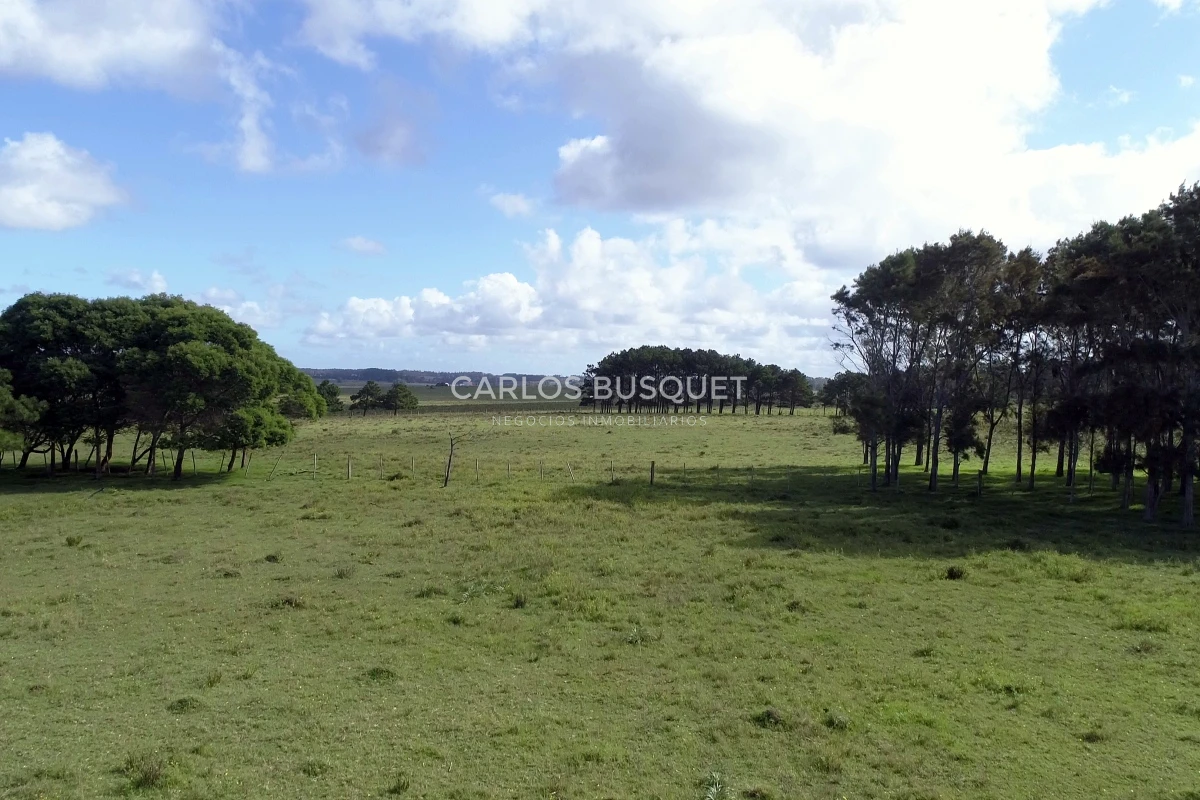 Campo Ref.542 - Campo de 180 has. en venta con costa de arroyo y Laguna de Jose Ignacio 