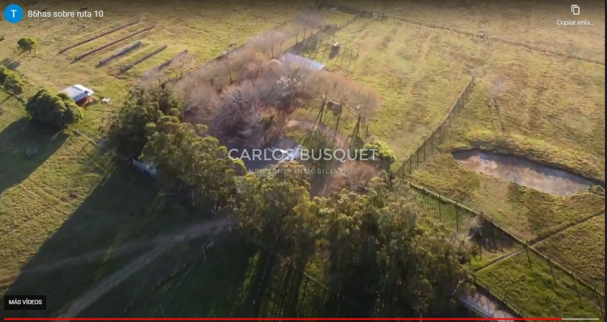 Campo Ref.59 - Campo de 86,5 hectáreas en Rocha