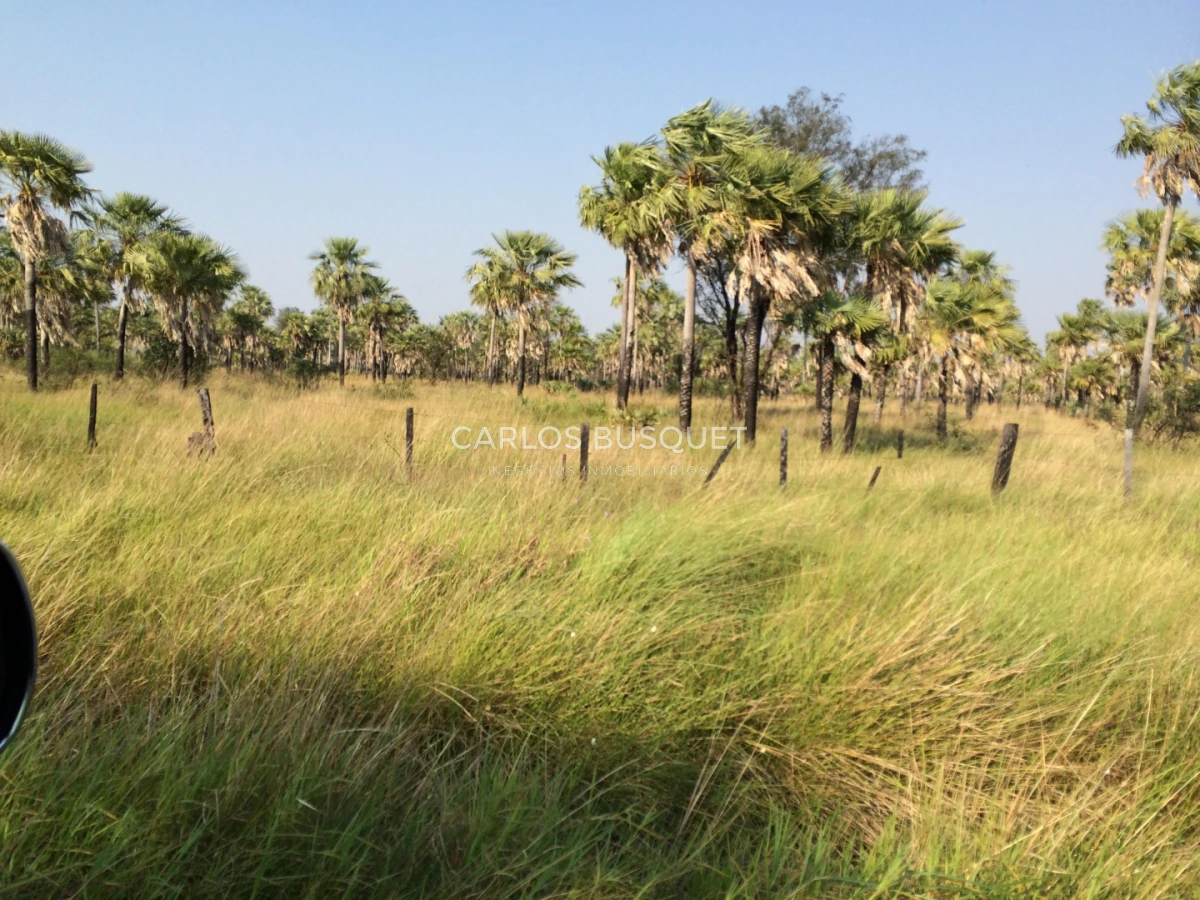 Campo Ref.1695 - Campo en venta de 20.600 has en Formosa 