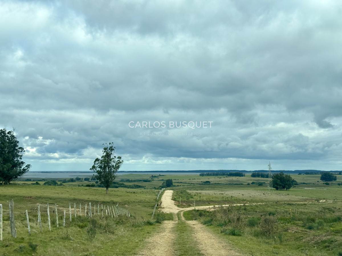 Campo Ref.1726 - Chacra de 30 has. en venta en José Ignacio - Ruta 9 