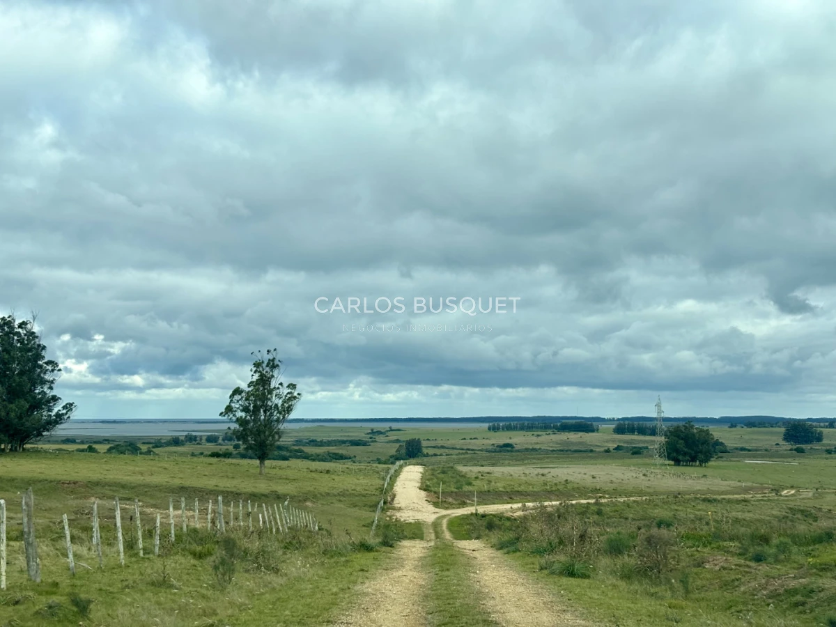 Campo Ref.1726 - Chacra de 30 has. en venta en José Ignacio - Ruta 9 