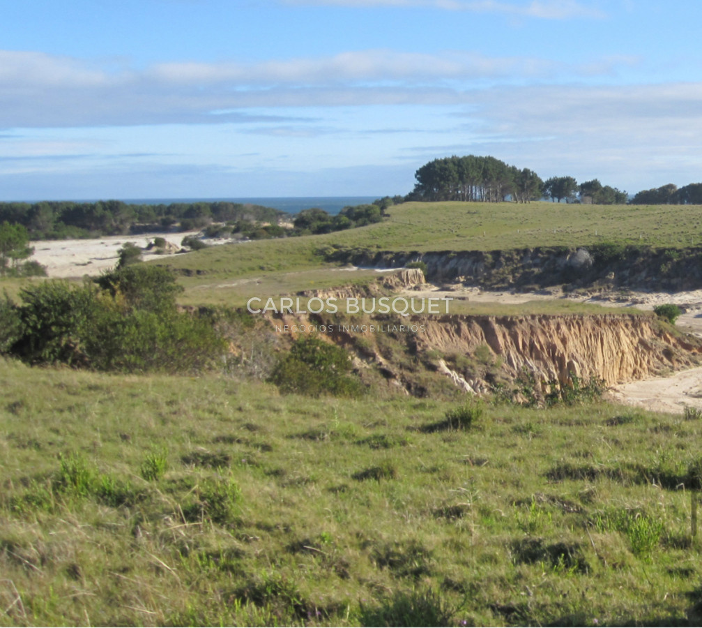 Campo Ref.1207 - CAMPO EN VENTA DE 232 HECTAREAS CON COSTA DE MAR EN ROCHA