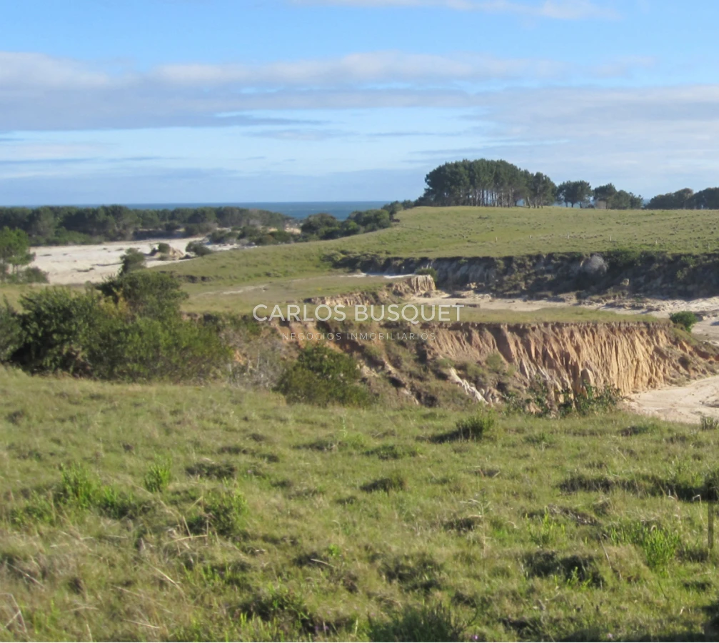 Campo Ref.1207 - CAMPO EN VENTA DE 232 HECTAREAS CON COSTA DE MAR EN ROCHA