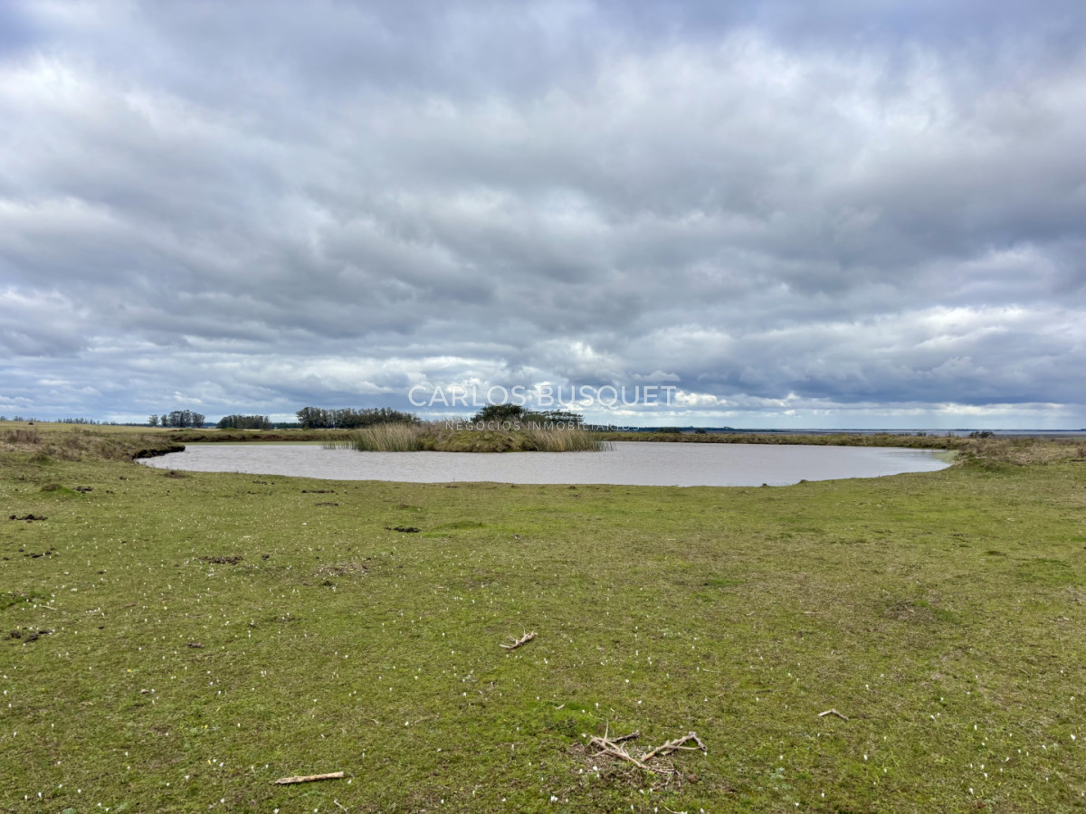 Campo Ref.1726 - Chacra de 30 has. en venta en José Ignacio - Ruta 9 
