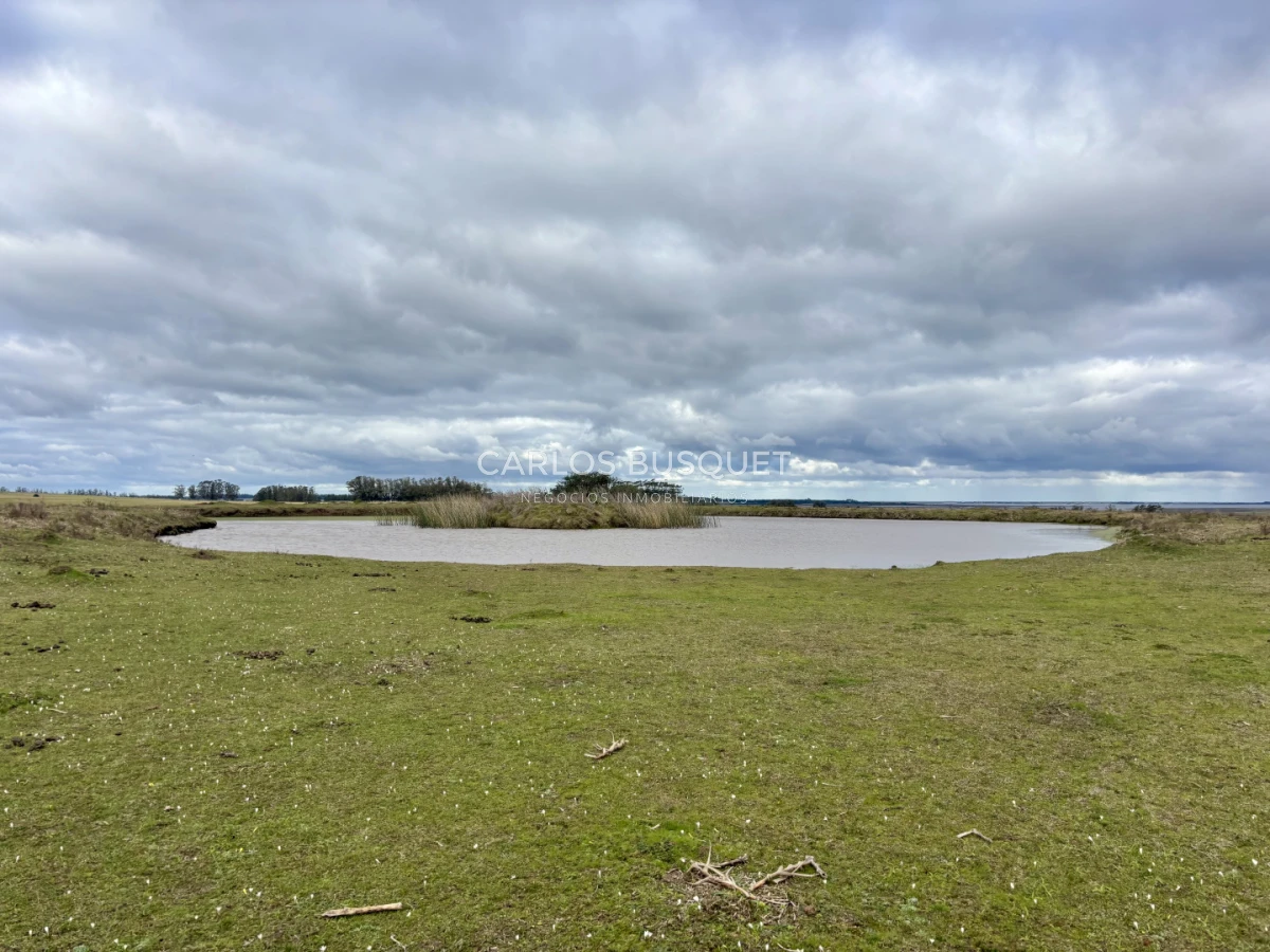Campo Ref.1726 - Chacra de 30 has. en venta en José Ignacio - Ruta 9 