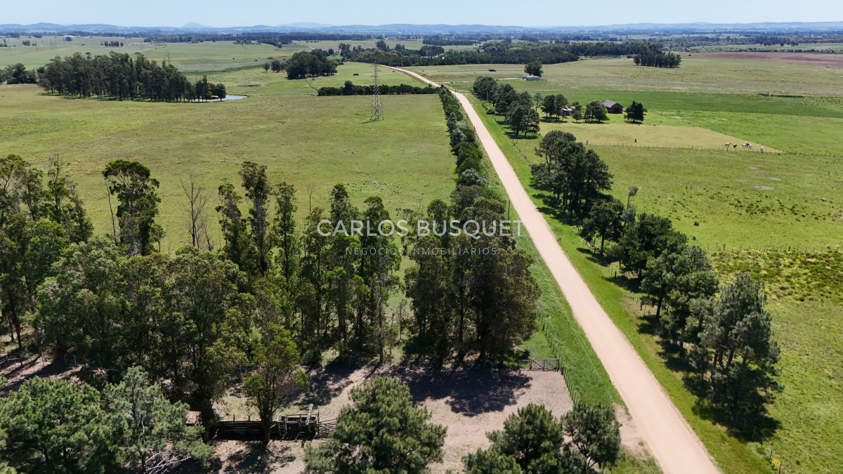 Campo Ref.311 - Campo en venta de 102 Hectáreas zona Ruta 104 