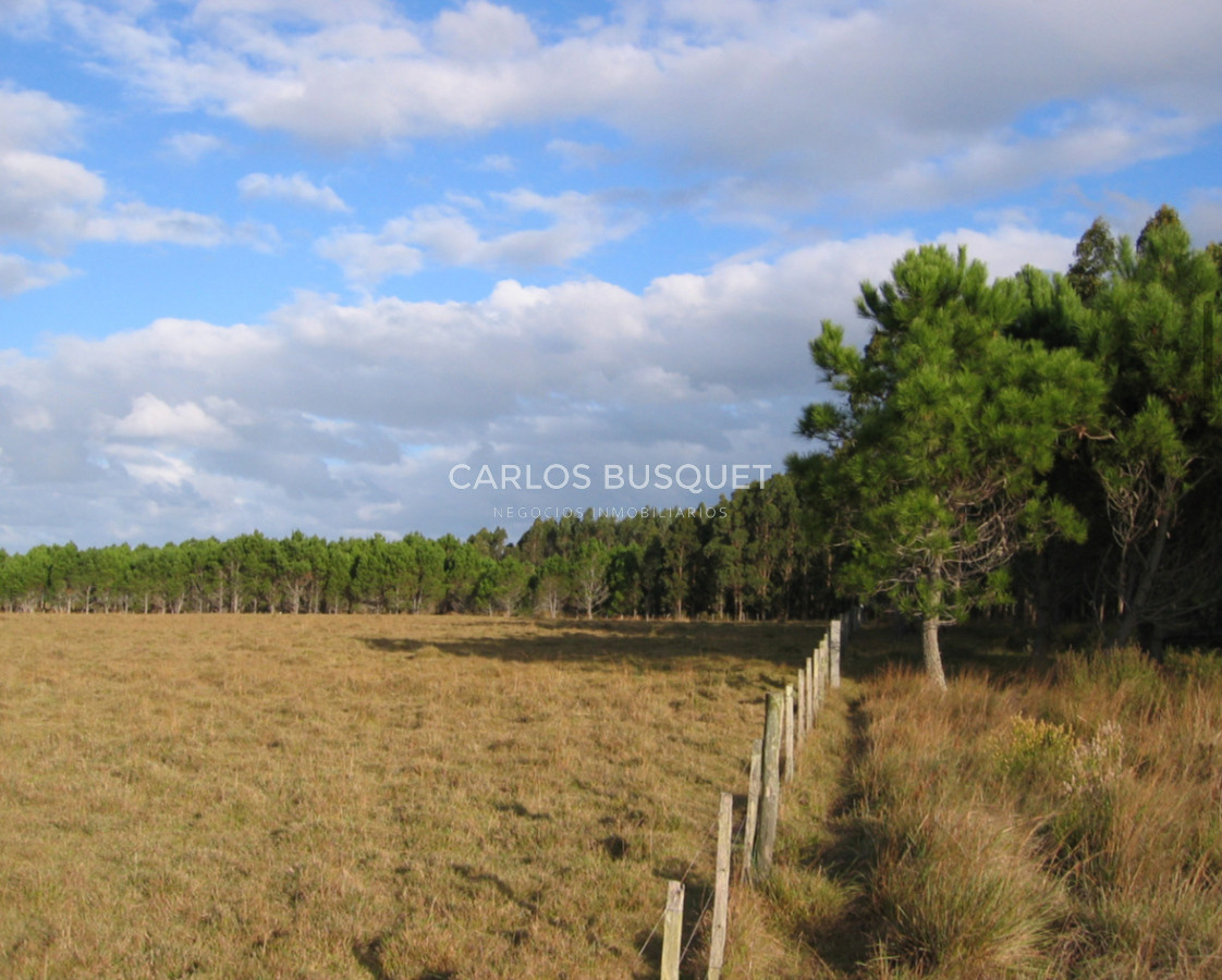 Campo Ref.1207 - CAMPO EN VENTA DE 232 HECTAREAS CON COSTA DE MAR EN ROCHA