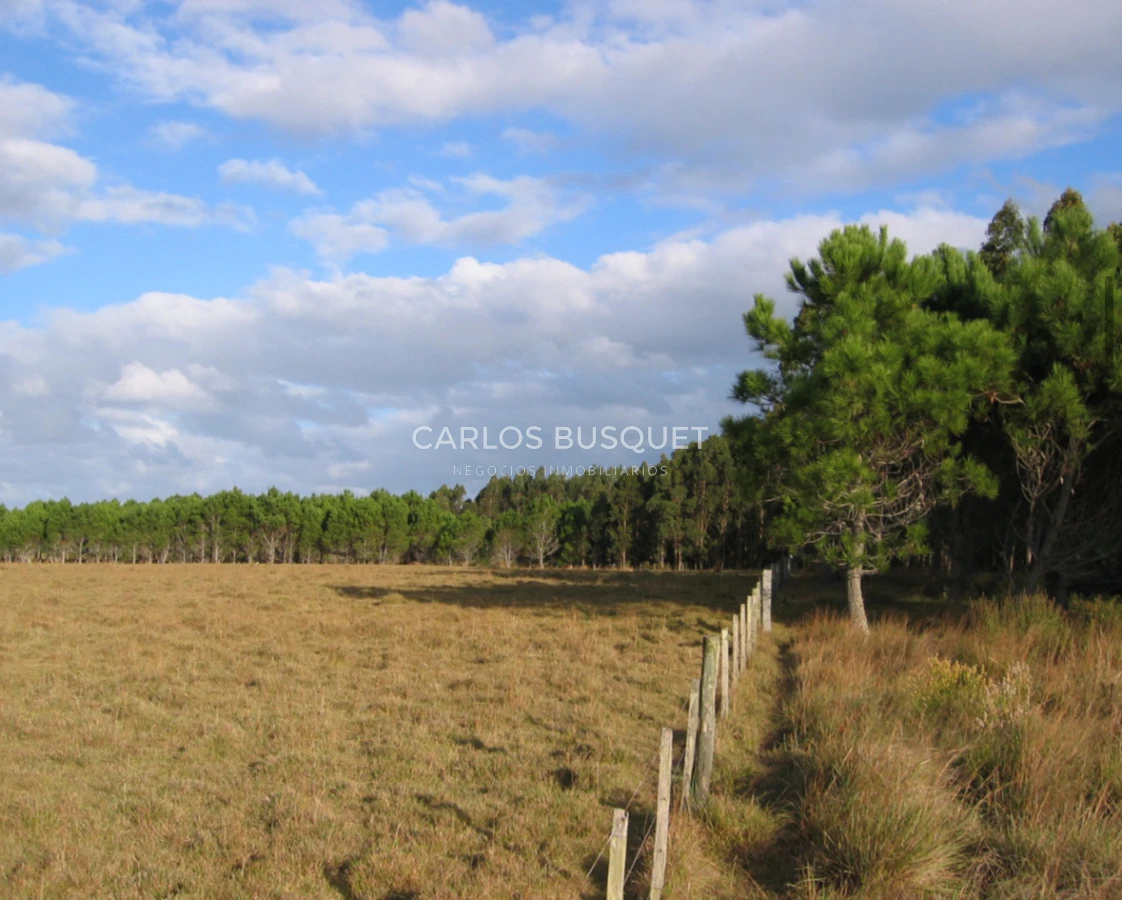 Campo Ref.1207 - CAMPO EN VENTA DE 232 HECTAREAS CON COSTA DE MAR EN ROCHA